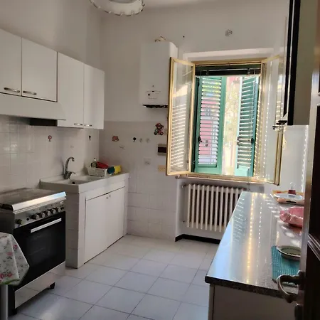 - Zona Senigália
