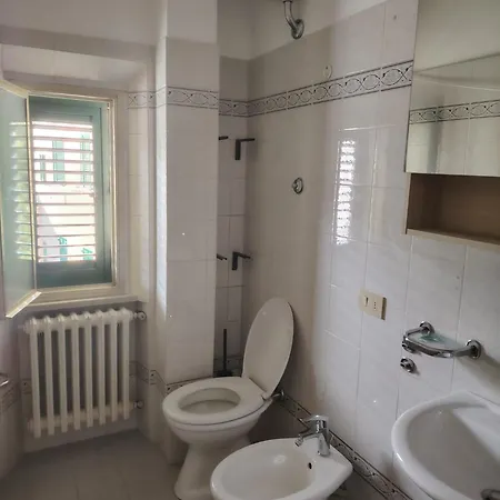 - Zona Senigália